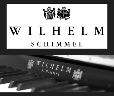 Frédéric Genand  Accordeur Schimmel piano